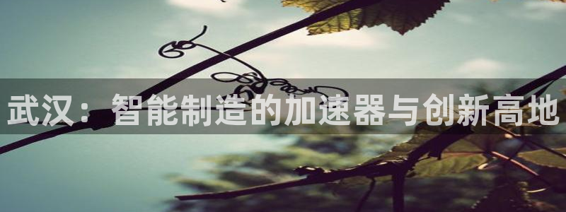 下载天辰娱乐：武汉：智能制造的加速器与创新高地