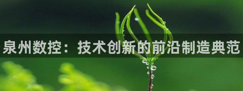天辰娱乐总管年薪：泉州数控：技术创新的前沿制造典范