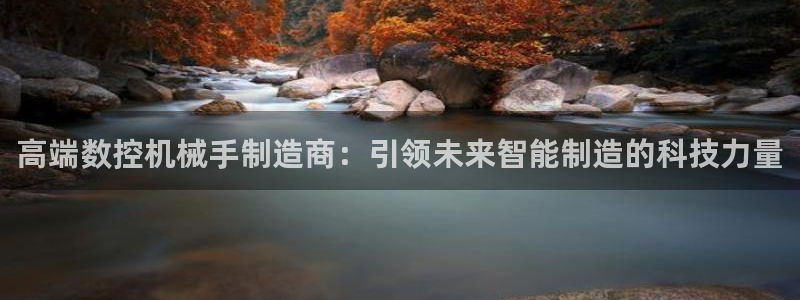 天辰娱乐APP下载：高端数控机械手制造商：引领未来智能制造的科技力量