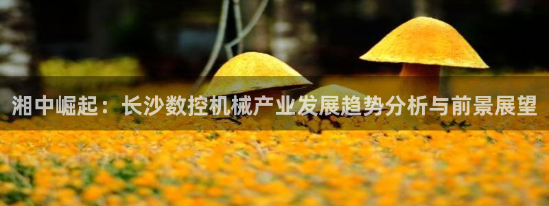 辰天娱乐：湘中崛起：长沙数控机械产业发展趋势分析与前景展望