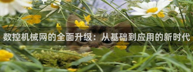 天辰 娱乐 注册