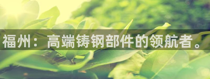 天辰娱乐娱乐注册：福州：高端铸钢部件的领航者。