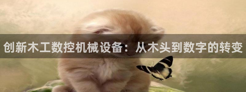 天辰娱乐平台地址在哪里