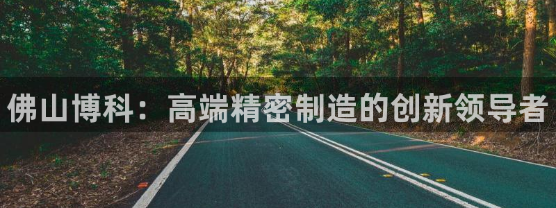 天辰娱乐网址娱乐游戏:佛山博科:高端精密制造的创新领导者