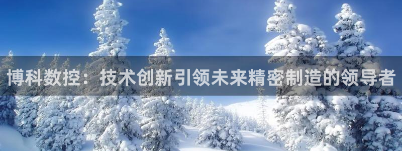 天辰娱乐平台地址：博科数控：技术创新引领未来精密制造的领导者